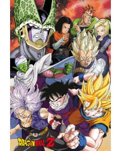 24x36 Poster   
