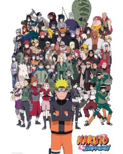 Naruto Shippuden Group 