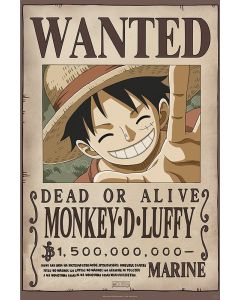 One Piece - Wanted Luffy Child