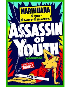 Assassin of Youth