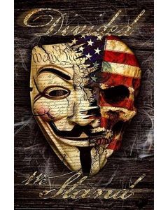 Divided We Stand