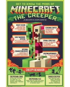 Minecraft - Creepy Behavior