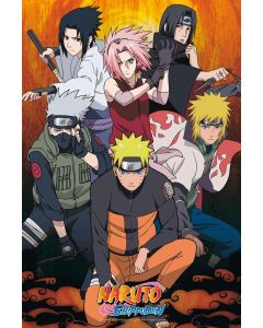 Naruto - Heroes