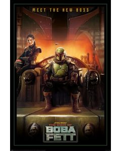 Star Wars Book of Boba Fett - New Boss