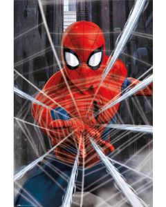Spider-Man - Gotcha