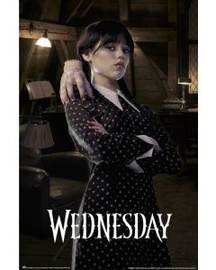 Wednesday - Room