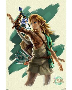 Zelda Tears of Kingdom -  Link*