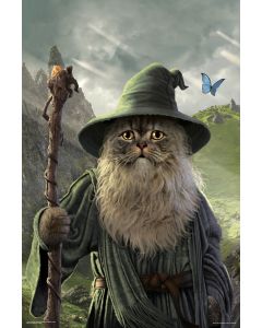 Catdalf