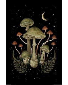 Mushroom Midnight