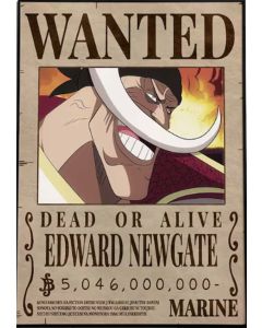 One Piece - Edward Newgate