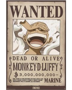 One Piece -  Wanted Luffy Hand