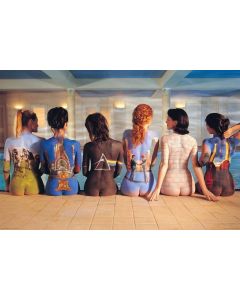 Pink Floyd - Back Catalog poster print image