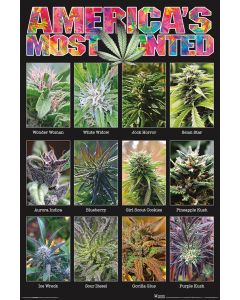 America's Most Wanted