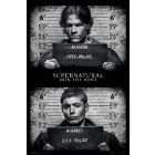 24x36 Poster