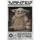 Star Wars - Mandalorian Wanted the Child
