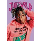 Juice WRLD- Never Mind