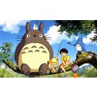 My Neighbor Totoro - Tree Limb
