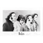 Beatles - Signatures