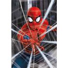 Spider-Man - Gotcha