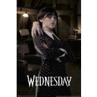 Wednesday - Room