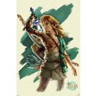 Zelda Tears of Kingdom - Link*