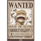 One Piece -  Wanted Luffy Hand