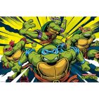 Teenage Mutant Ninja Turtles