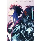 Solo Leveling