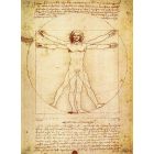 Da Vinci - Vitruvian Man
